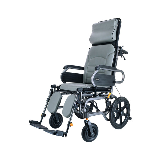 Bion Recliner Pushchair G810